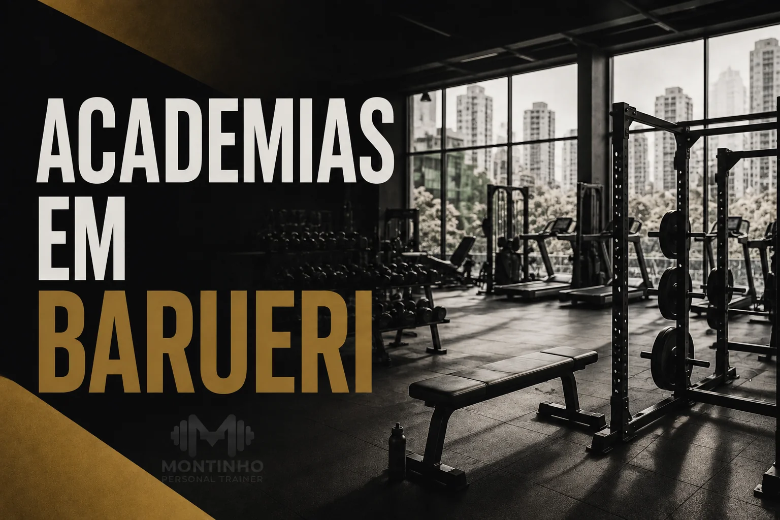 Arte de capa ilustrada sobre as academias de Barueri, com silhuetas de treino e a cidade ao fundo