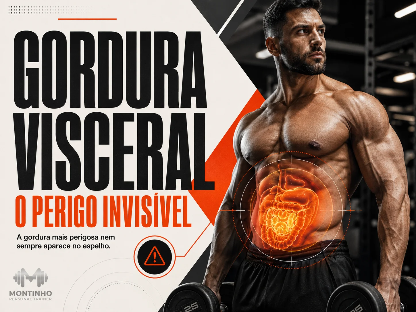 Gordura visceral, o perigo invisível: riscos metabólicos e como eliminar com déficit calórico, treino de força e cardio