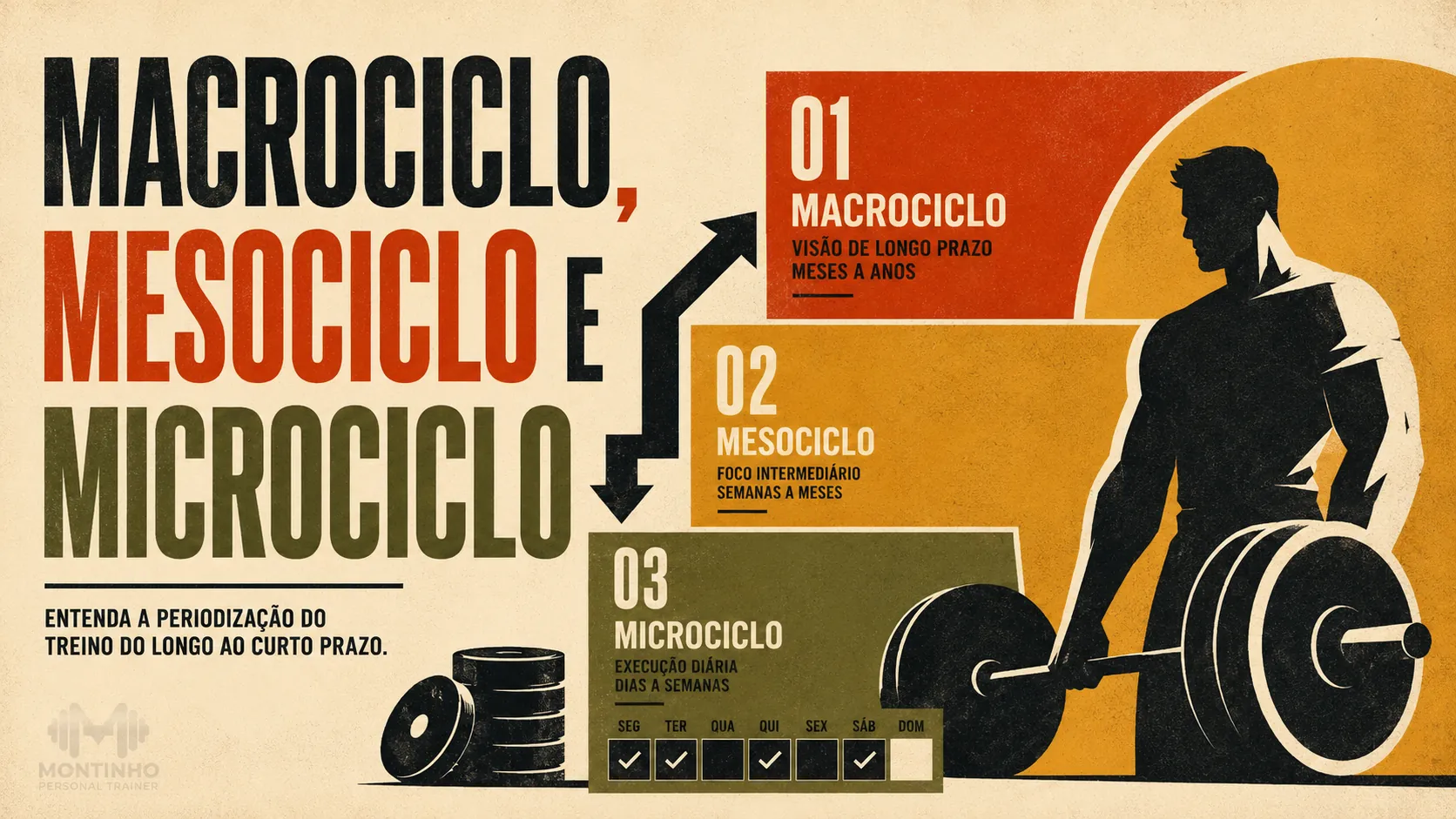 Macrociclo, mesociclo e microciclo: como planejar a periodização do treino do ano