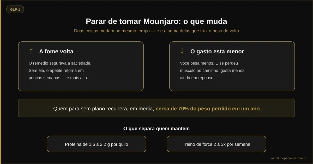 Infográfico: ao parar o Mounjaro, a fome volta e o gasto está menor; quem para sem plano recupera em média cerca de 70% do peso perdido em um ano; proteína de 1,6 a 2,2 g por quilo e duas sessões de força por semana são o que segura o resultado
